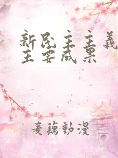 新民主主义革命主要成果