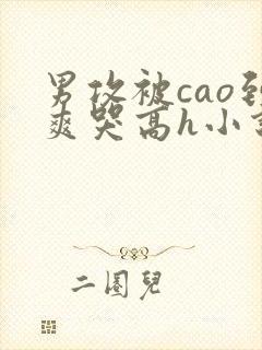 男攻被cao到爽哭高h小说