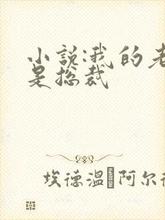 小说:我的老婆是总裁