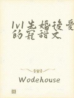 1v1先婚后爱的宠甜文