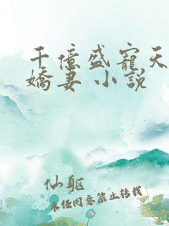 千亿盛宠天价小娇妻 小说