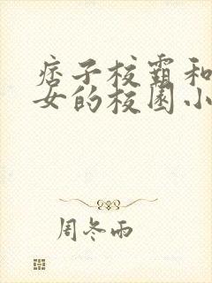 痞子校霸和乖乖女的校园小说