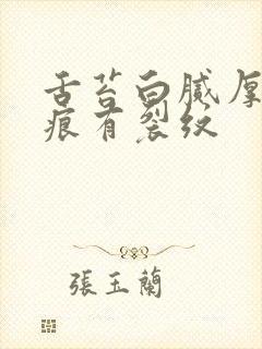 舌苔白腻厚有齿痕有裂纹