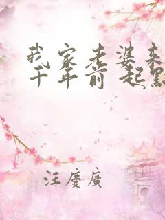 我家老婆来自一千年前 起点