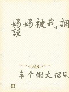 妈妈被我调教小说