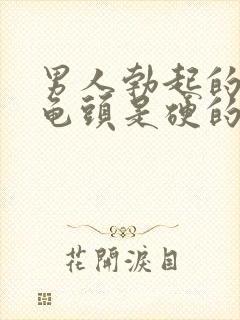 男人勃起的时候龟头是硬的还是软的