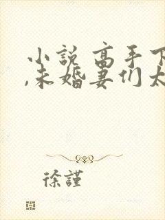 小说 高手下山,未婚妻们太妖娆