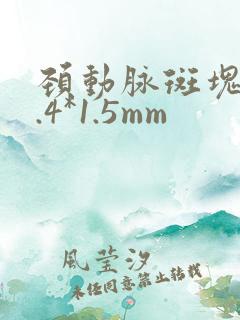 颈动脉斑块 7.4*1.5mm