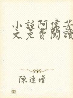 小说阿伟芳姨全文免费阅读