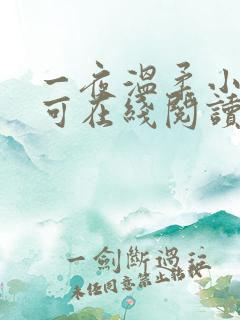 一夜温柔小说小可在线阅读