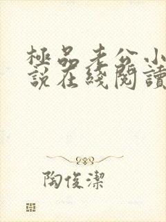 极品老公小颖小说在线阅读