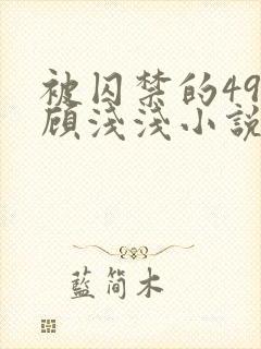 被囚禁的49天顾浅浅小说全文阅读无弹窗