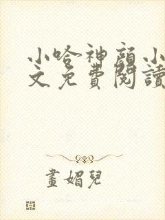 小哈神颜小说全文免费阅读最新章节