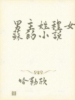 男主姓程女主姓苏的小说