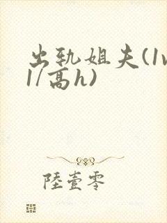 出轨姐夫(1v1/高h)