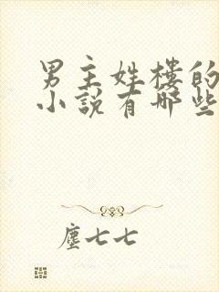 男主姓楼的现代小说有哪些