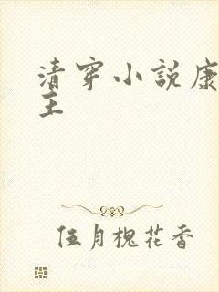 清穿小说康熙男主