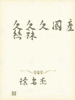 久久久国产精品丝袜