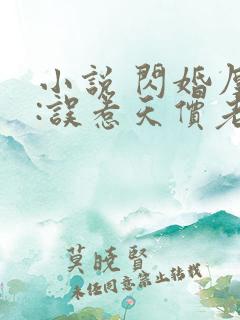 小说 闪婚厚爱:误惹天价老公