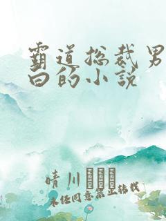 霸道总裁男主姓白的小说