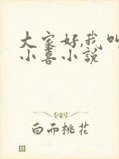 大家好,我叫林小喜小说