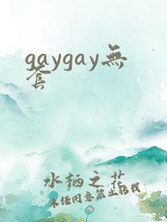 gaygay无套