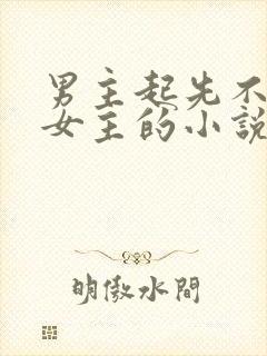 男主起先不喜欢女主的小说