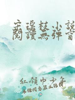 宋瑶枝小说免费阅读无弹窗最新章节