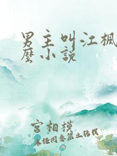 男主叫江枫是什么小说