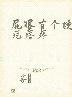 屁眼有个硬硬的疙瘩疼