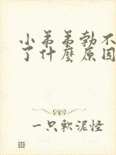 小弟弟勃不起来了什么原因