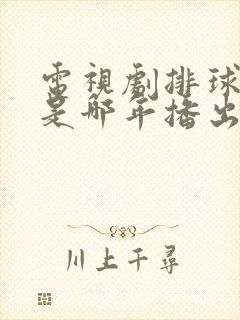 电视剧排球女将是哪年播出的