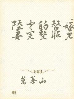 陆少的替嫁小娇妻完整版免费阅读