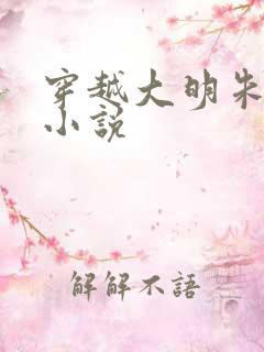 穿越大明朱翊钧小说