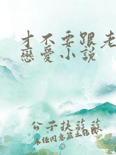 才不要跟老板谈恋爱小说