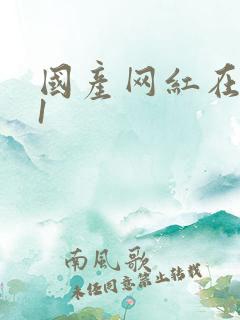 国产网红在线91