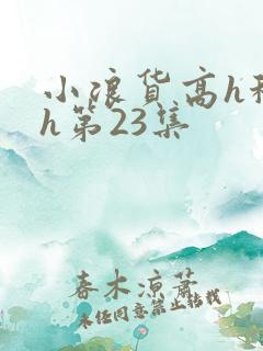 小浪货高h秘书h第23集