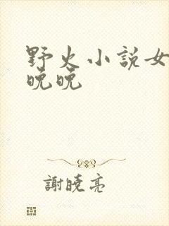 野火小说女主林晚晚