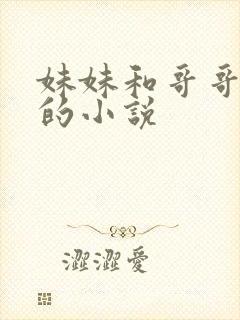 妹妹和哥哥恋爱的小说