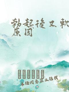 勃起后又软什么原因