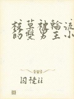 校草被轮流欺负的双男主小说