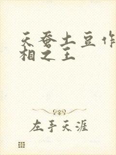 天蚕土豆作品万相之王