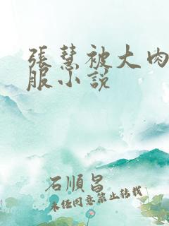 张慧被大肉楱征服小说