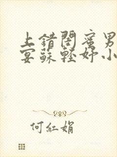 上错闺蜜男友沈宴苏轻妤小说叫什么