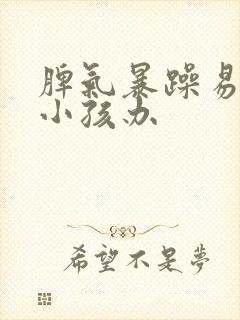 脾气暴躁易怒的小孩办