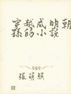 穿越成明朝皇太孙的小说