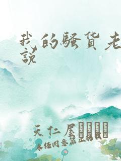 我的骚货老婆小说