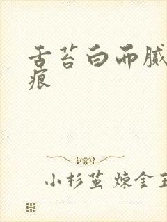 舌苔白而腻有齿痕