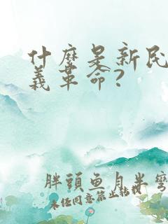 什么是新民主主义革命?