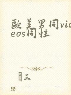 欧美男同videos同性